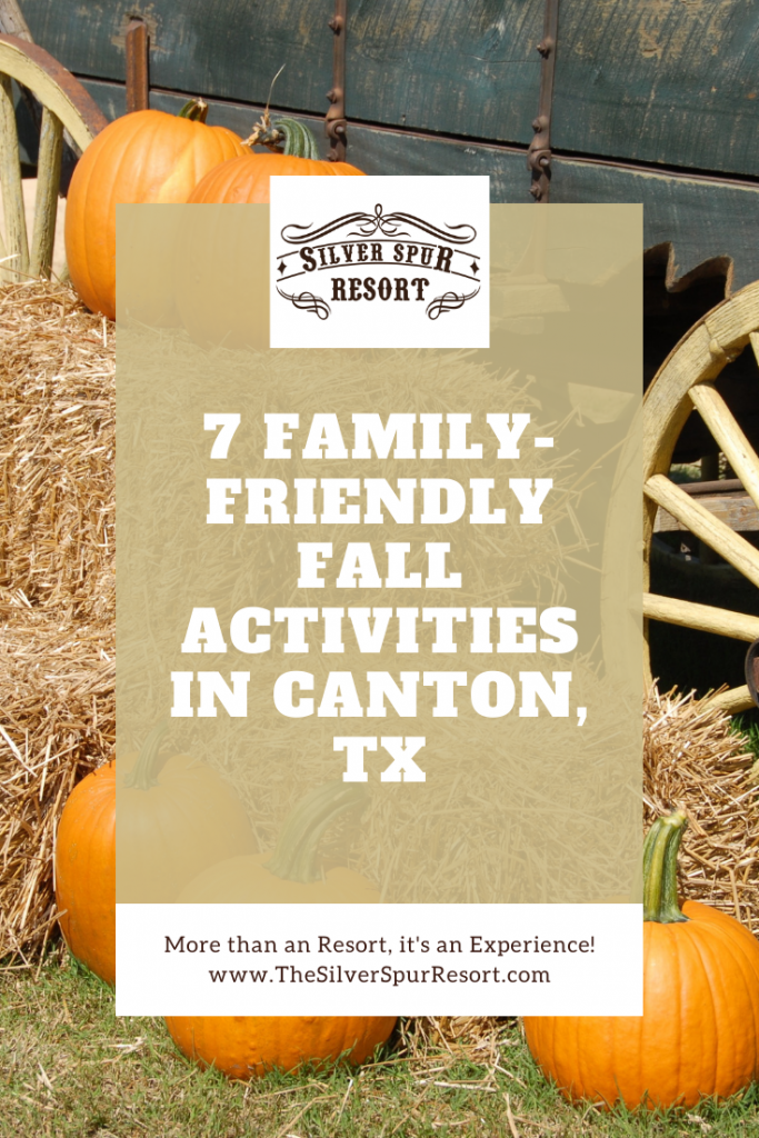 Things to do in canton texas 