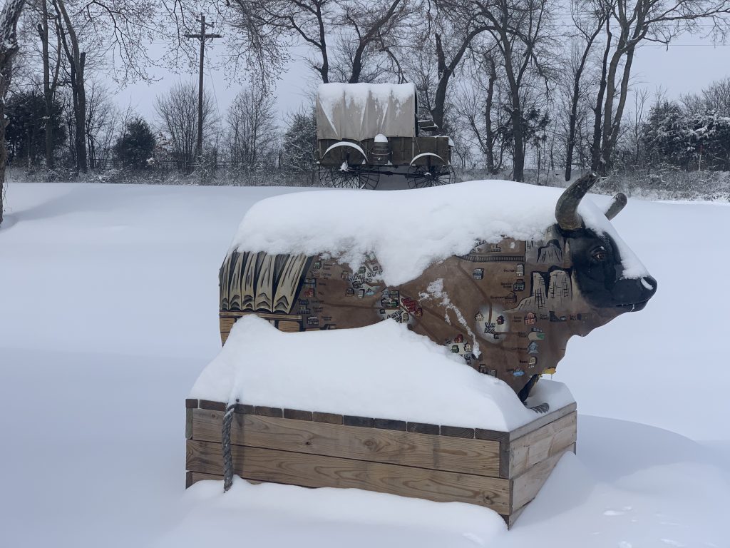 bull covered with snow at the silver spur resort